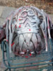 2012-11-23_15-04-06_813.jpg 2012-11-23_15-04-06_813.jpg