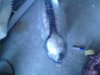 IMG_20130524_074147.jpeg
