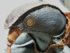 20130527_220119.jpg