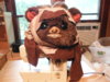 DSCF1589.JPG