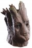 Guardians-of-the-Galaxy-Costumes-Groot.jpg