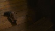 800px-TLoU_TV_S1E01_14 (1).jpg