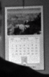 Falcon 05.png