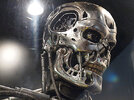 Endoskeleton - Tomenosuke Shoten shop - Japan - 009.jpg
