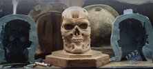T4 - Endoskeleton - Skulls - 02-1.jpg