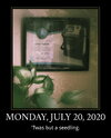 Monday, July 20, 2020.jpeg