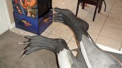 feet new.jpg