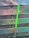 IMG_1103.jpeg