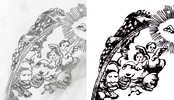 Drawing Comp.png
