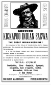 Kickapoo Indian Sagwa Poster.png