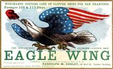 Eagle_20Wing_original.jpg