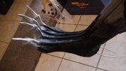 foot1.jpg