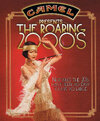Camel Roaring 2000s Ad Mod1.jpg