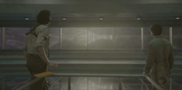 Image31_2.png