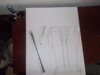 spartan legs 002.JPG