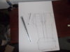 spartan legs 003.JPG