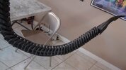 DSC05916.JPG