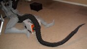 tail caly1.JPG