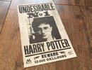 harry-potter-flyer-1.jpg
