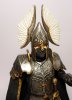 fountain guard 3.jpg