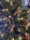 IMG_8633.jpeg