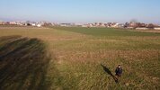 DJI_0071.MP4_snapshot_02.17_[2023.12.16_14.38.00].jpg