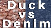 duck vs demin.jpeg