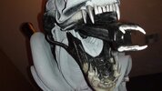 DSC06052.JPG