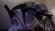 DSC06057.JPG