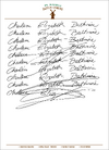Dutch Cabins Stationary Rejected Signatures.png