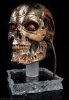 Terminator-3-Rise-of-the-Machines-Endoskeleton-Skull-1.jpg