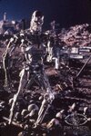 content_terminator-2-judgement-day-blog-2.jpg