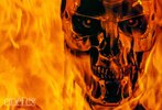 Terminator-2-0002-1024x700.jpg