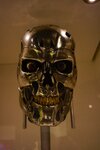 Endoskeleton - IconsofSciFi - EMPmuseum - 01 - 016.jpg