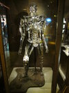 Endoskeleton - IconsofSciFi - EMPmuseum - 02 - 006.jpg