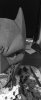 FullSizeRender-3.jpg