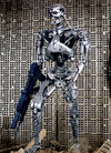 Endoskeleton - Terminator 2 3D - Universal Studios - Hollywood - Attraction Store Window - 005.jpg