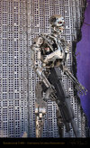 Endoskeleton - Terminator 2 3D - Universal Studios - Hollywood - Attraction Store Window - 013.jpg