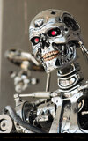 Endoskeleton - Terminator 2 3D - Universal Studios - Hollywood - Attraction Store Window - 018.jpg