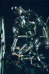 T1 - Endoskeleton - 01.jpg