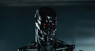 T1 - Endoskeleton - 06.jpg
