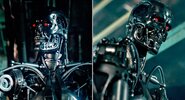 T1 - Endoskeleton - 11.jpg