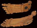 T1 - Endoskeleton - Prop - Feet - 02 - 02.png