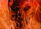 T2 - Endoskeleton - 10.jpg