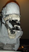 DSC06075.JPG