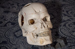 T800_2.jpg