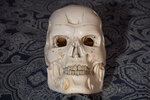 T800_3.jpg