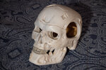 T800_6.jpg