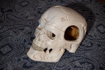 T800_7.jpg