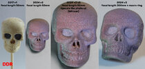 Skull px1x1.jpg